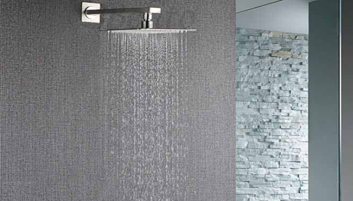 Luxury Hospitality Brushed Nickel Showerhead