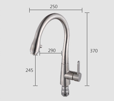 Fontana Portici Stainless Steel Brushed Nickel Single Handle Kitchen Faucet