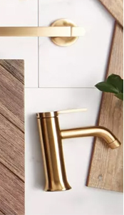 Brushed gold kitchen faucet from the Fontana collection