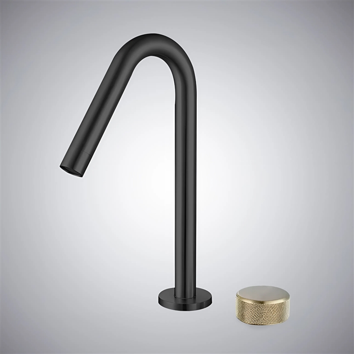 FS-020904-GB Fontana Kerry Gold & Black Basin Faucet