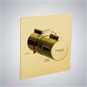 Fontana Gold Wall Mounted Concealed Shower Mixer Valve