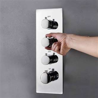 Shower Controls Revit Families Shower Three Function Shower Mixer Thermostatic Valve Vertical