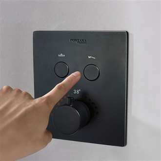 Shower Controls Revit Families Showers Bathroom Faucet Brass Concealed Thermostat Mixer 2 function Black