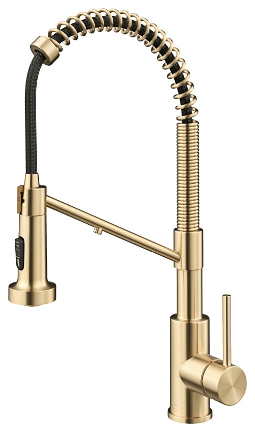 Fontana Vittorio Veneto Spot Free Antique Champagne Bronze Style 2-Function Pull-Down 1-Handle 1-Hole Filter Kitchen Faucet