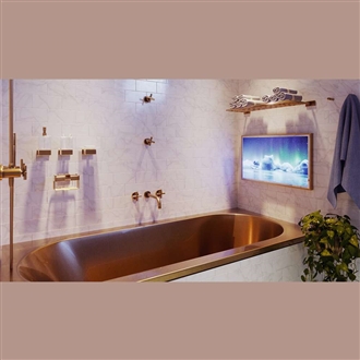 10.4 inch Mirror bathroom TV / waterproof bathroom LED TV