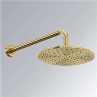 Delta Brushed Gold Wall Mount Rainfall Shower Head