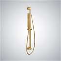 Brushed Gold Handheld Shower 1-Spray Handheld Shower