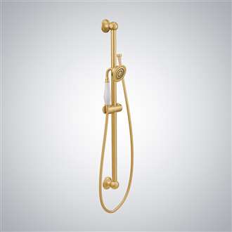 BIM Object Brushed GoldHandheld Round Shower 1-Spray Handheld Shower