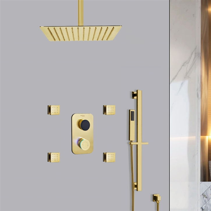 Fontana Cecina Brushed Gold and Black Shower Set