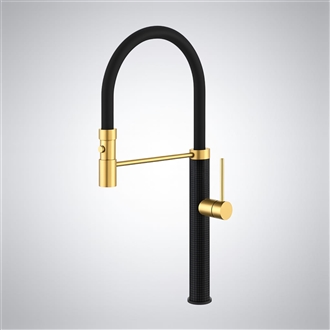 Fontana HorizonLineâ„¢ Collection â€“ Black & Gold Luxe