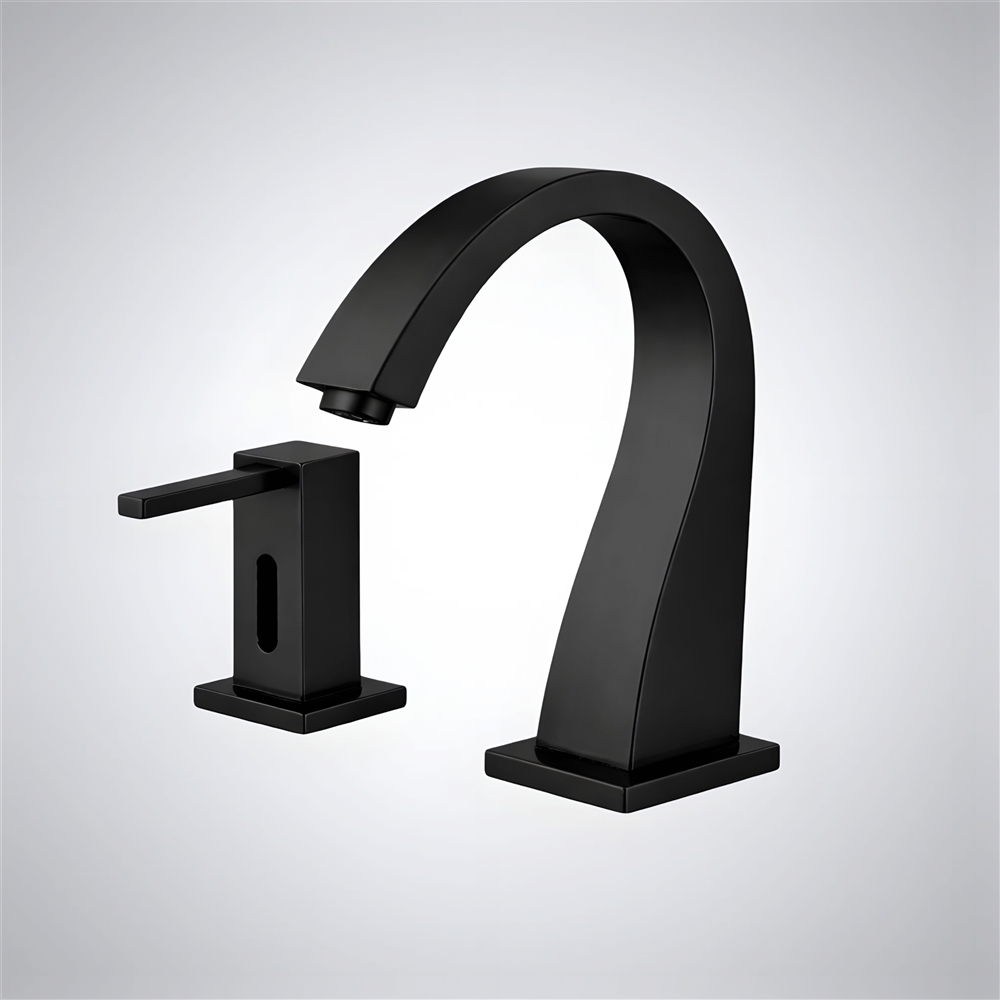 Fontana PureSpoutâ„¢ â€“ Matte Black Radiance