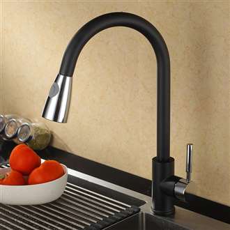 Fontana SÃ©nart Chrome Black Sensorless Kitchen Faucet with Pull Down Sprayer