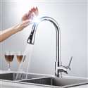 Fontana SÃ©nart Gooseneck Smart Sensor Chrome Finish Kitchen Faucet with Pull Down Sprayer
