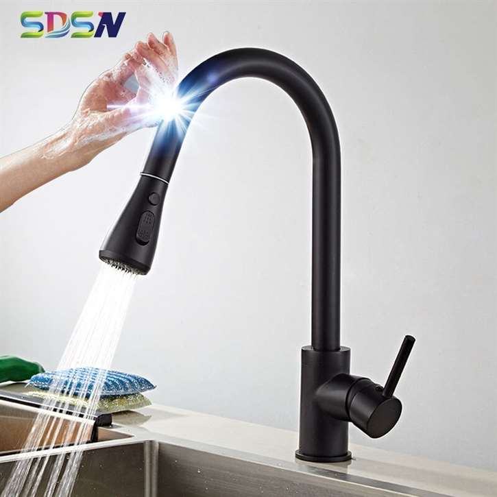 Fontana Marseille Gooseneck Smart Sensor Matte Black Finish Kitchen Faucet with Pull Down Sprayer