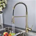 Fontana Dijon Gold Finish Stainless Steel Kitchen Faucet with Pull Down Sprayer