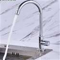 Fontana SÃƒÂ¨te Gooseneck Zinc Alloy Single Handle Cold Kitchen Sink Faucet