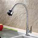 Fontana BollnÃ¤s Gooseneck Shape Kitchen Sink Faucet with Round Head in Chrome Finish