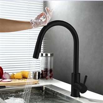 Fontana Geneva Matte Black Stainless Steel Pull Out Sensor Touch Kitchen Sink Faucet
