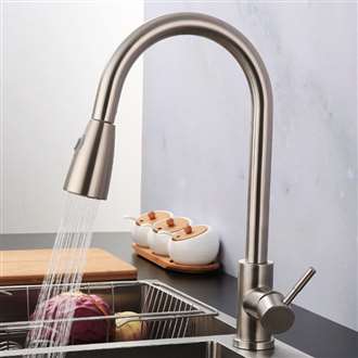 Brushed Nickel Faucet with Push Button for Two Way Flow Kitchen Sink Faucet