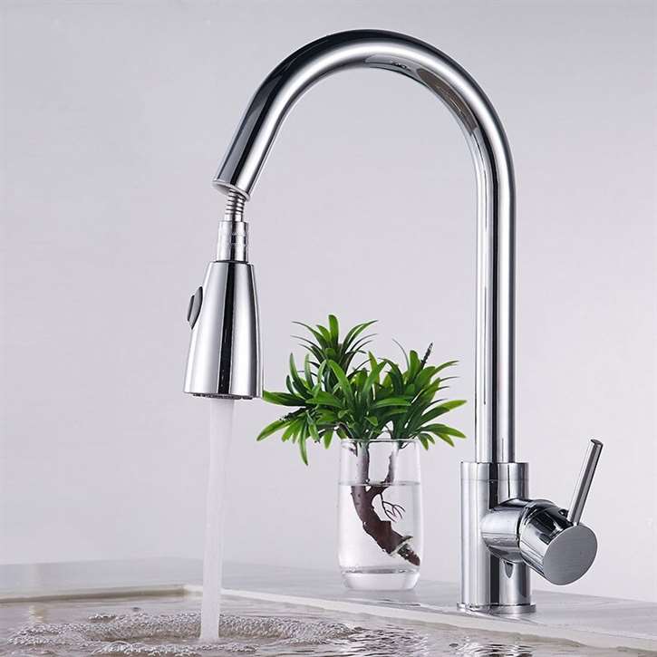 Fontana Carpi Chrome Faucet with Push Button for Two Way Flow Kitchen Sink Faucet (FS1429C1)