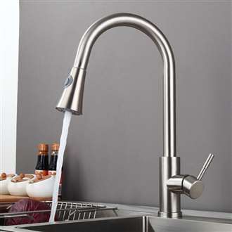 Stainless Steel Faucet with Push Button for Two Way Flow Kitchen Sink Faucet in Brushed Nickel Finish