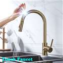 Fontana Dax Kitchen Faucet with 360Â° Rotation