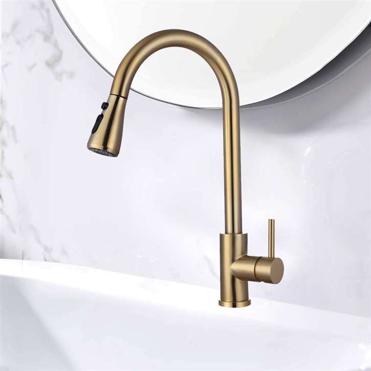 Fontana Cholet 360 Rotation Pull Out Sprayer with Button For Two Way Flow in Gold Kitchen Sink Faucet