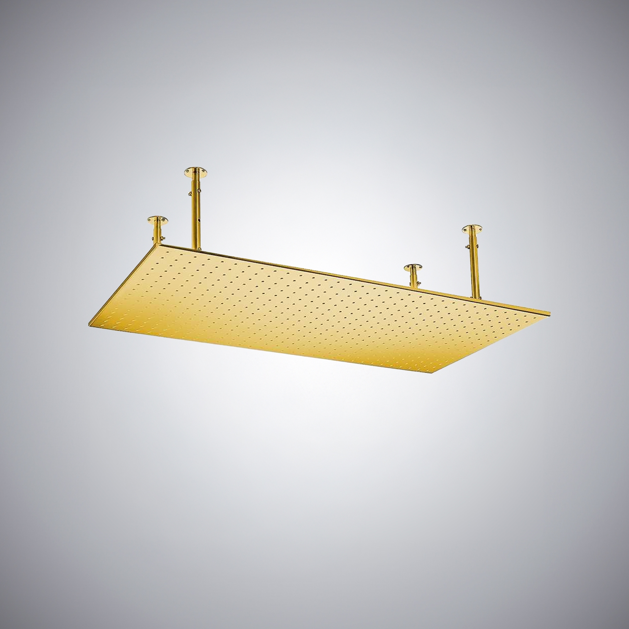 Fontana Vicenza 20x40in Polished Gold Ceiling Mount Rainfall Shower Head actual FontanaShowers product image