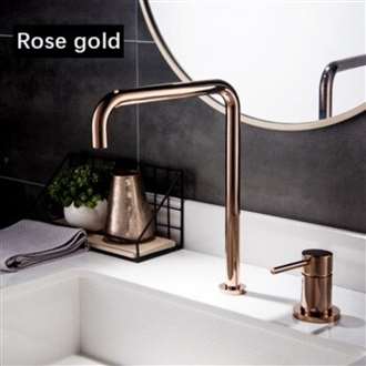 Fontana Basin BIM Object Faucet Kitchen Sink BIM Object Faucet Shiny Rose Gold Hot Cold Water Mixer Tap