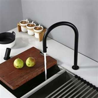 Fontana Kitchen Sink Commercial Tap BIM Object Invisible Pull Out Sprayer Double Hole Single Handle Matte Black Hot And Cold Solid Brass Mixer Tap