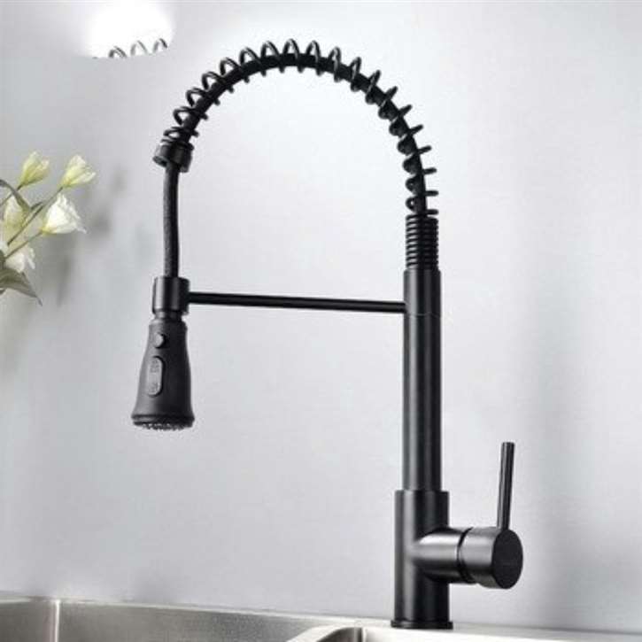 Fontana Black Pull Out Kitchen Sink Faucet with Pull Out Sprayer