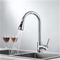 Kitchen Sink Faucet with Pull Out Sprayer
