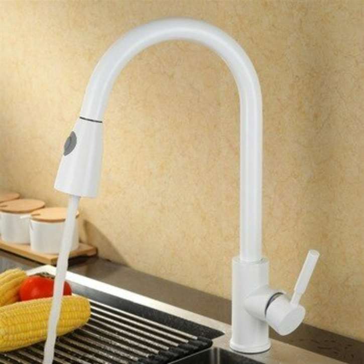 Kitchen Sink Faucet with Pull Out Sprayer