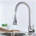 Kitchen Sink Faucet with Pull Out Sprayer