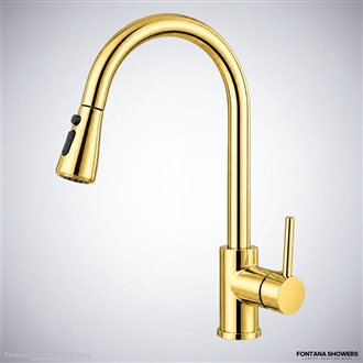 Gold Touch Kitchen Faucet Luxury Pull Out Sprayer
