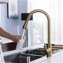 Kitchen Sink Faucet with Pull Out Sprayer