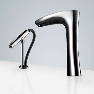 Fontana Freestanding Commercial Motion Sensor Faucet And Automatic Soap Dispenser