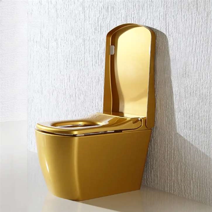 Fontana AeroWashâ„¢ â€“ Gold Smart Toilet