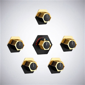 Fontana HydroTherisâ„¢ â€“ Black and Gold Sovereign Luxe