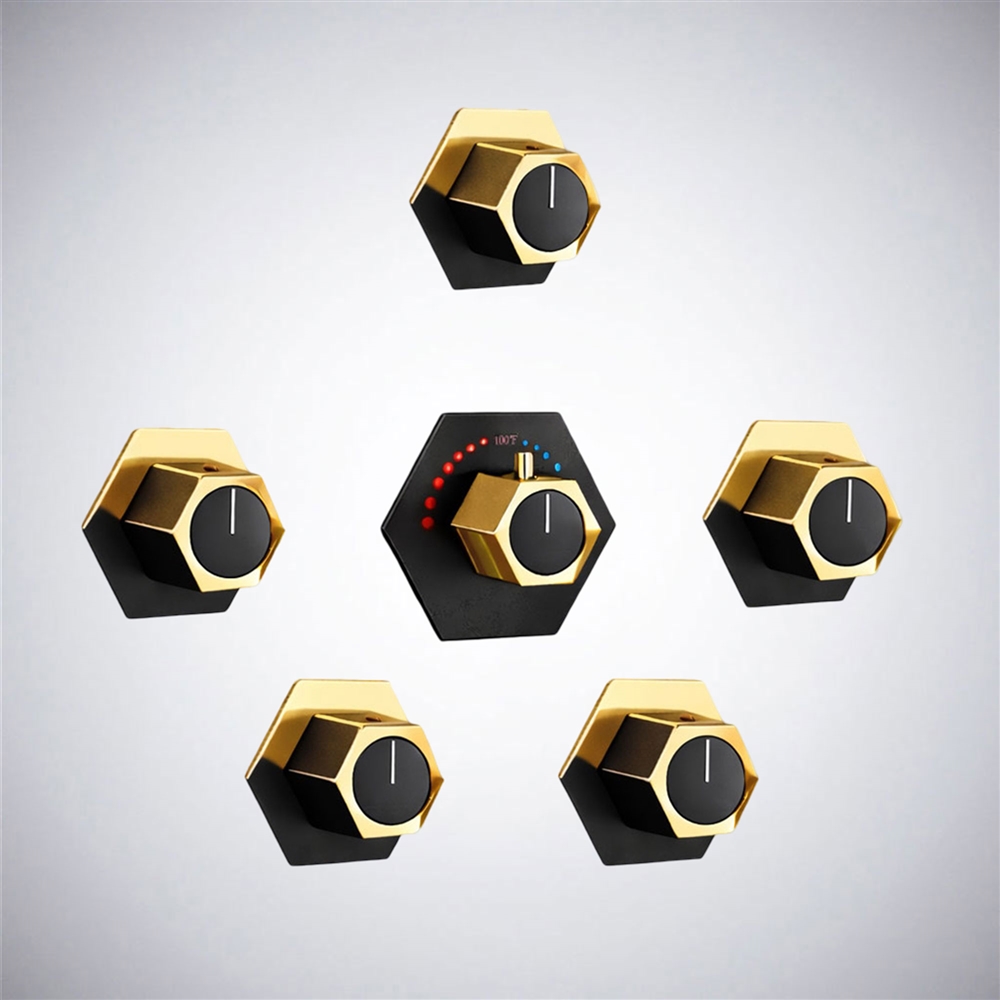 Fontana HydroTherisâ„¢ â€“ Black and Gold Sovereign Luxe