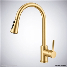 Fontana Hydexoâ„¢ â€“ Brushed Gold Kitchen Faucet