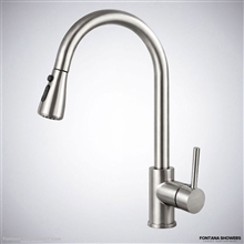 Fontana Hydexoâ„¢ â€“ Brushed Nickel Touch