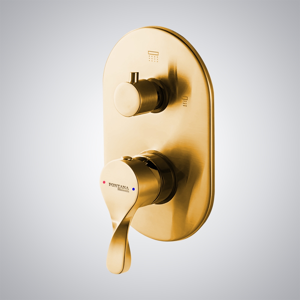 Wall Mounted Gold Hot and Cold Wall Mounted Shower Mixer Concealed Design