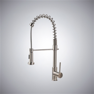 Quilmes Brushed Nickel Kitchen Sink Faucet with Pull Down Sprayer