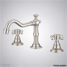 Modena brushed nickel faucet