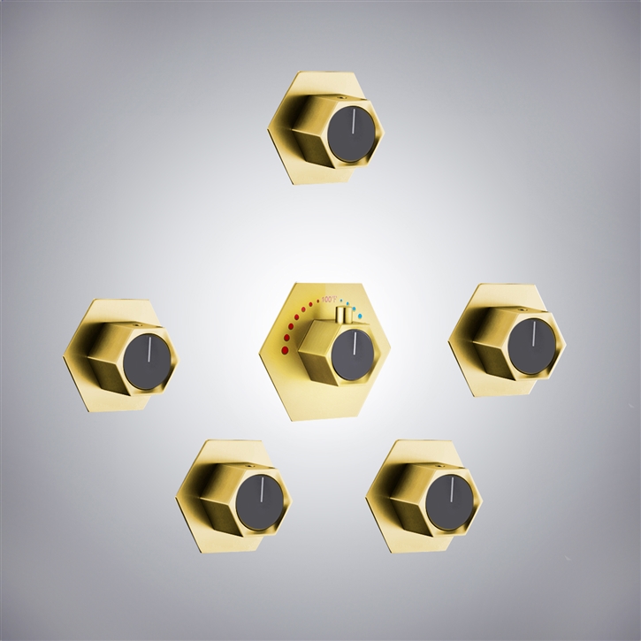 Fontana Reunion Brushed Gold Advanced Shower Mixer