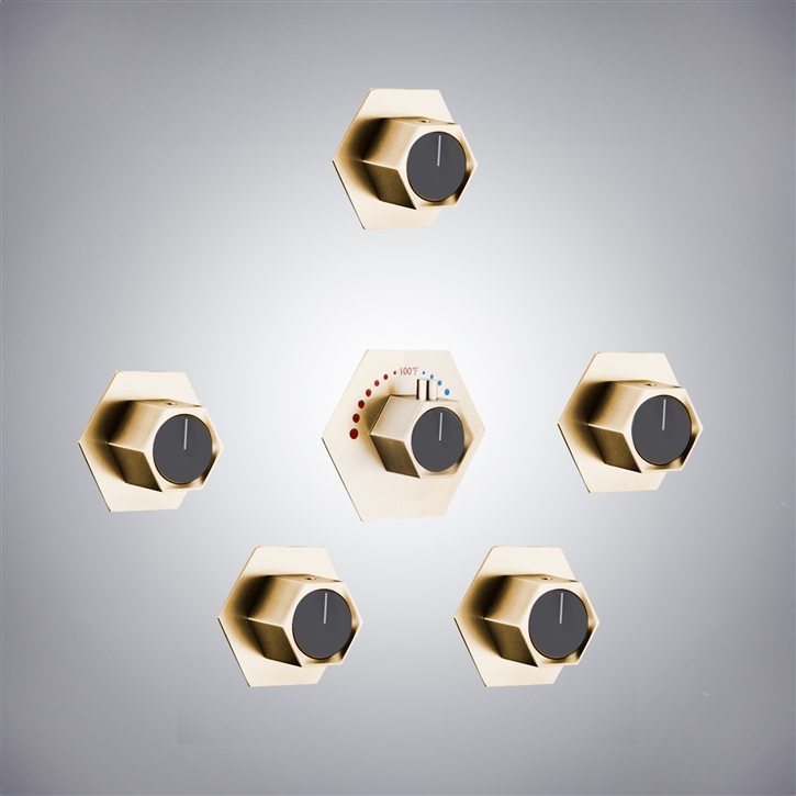 Fontana Reunion Champagne Signature Multifunction Mixer