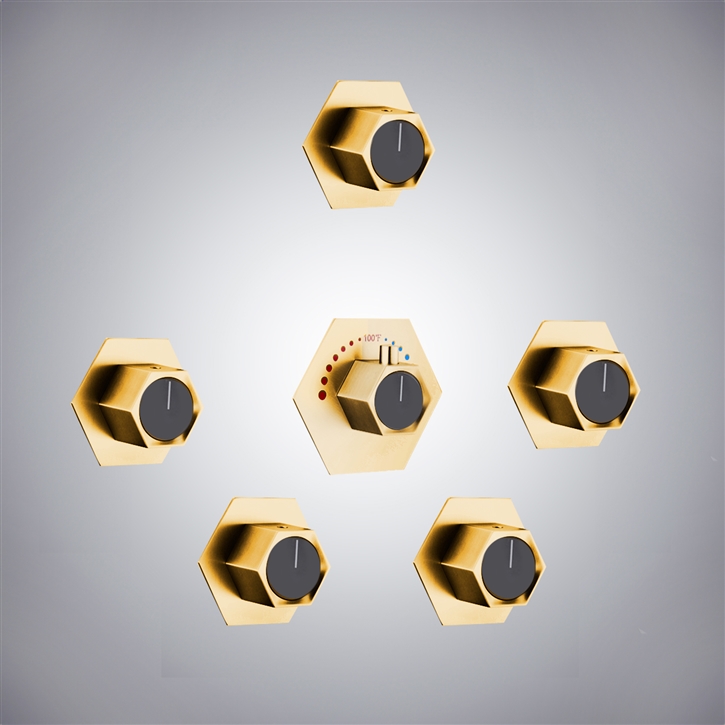 Fontana Reunion Gold Elite 5-Mode Shower Valve