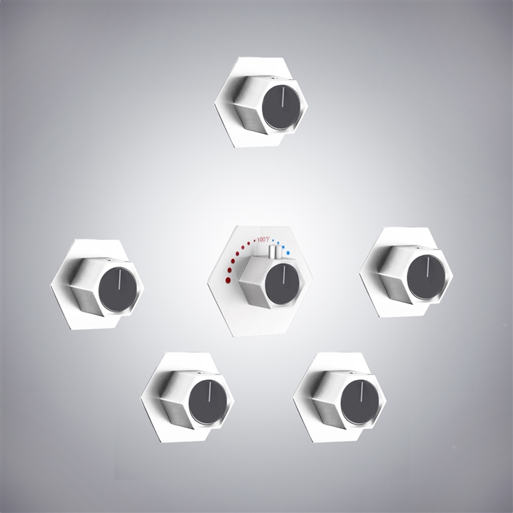 Fontana Reunion Sleek Matte White Shower Mixer
