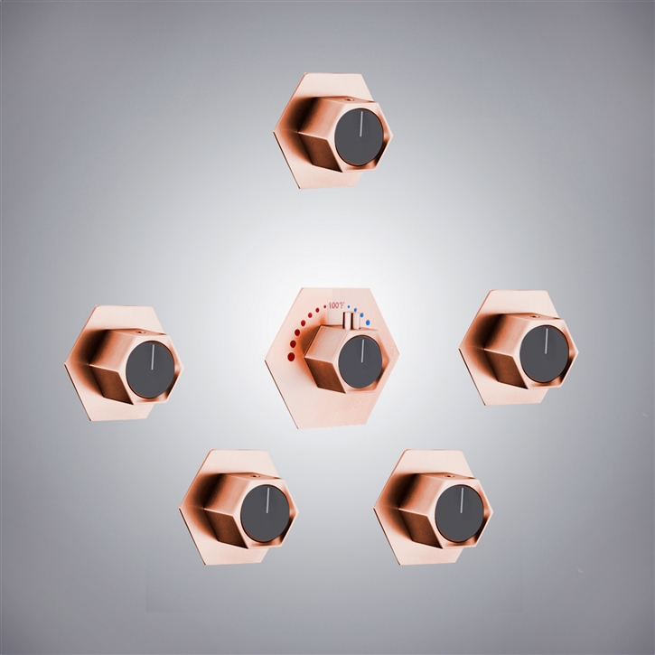 Fontana Reunion Rose Gold Elegance Shower Mixer